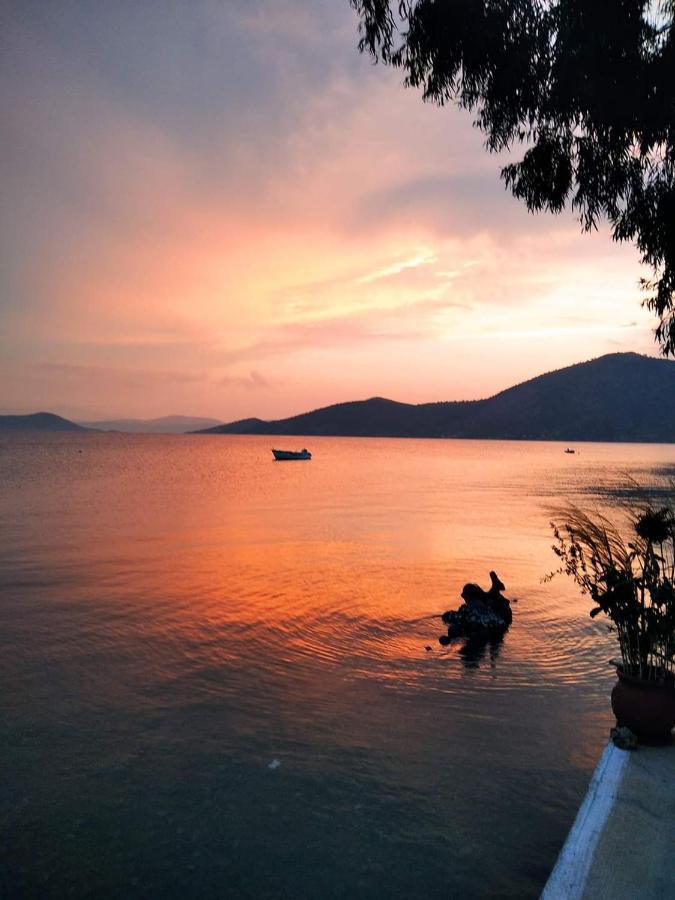 Vitamin Sea Studio Panagia  外观 照片