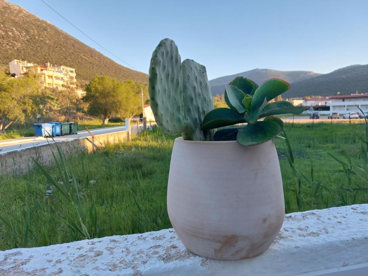 Vitamin Sea Studio Panagia  外观 照片